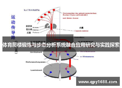 体育爬楼锻炼与步态分析系统融合应用研究与实践探索